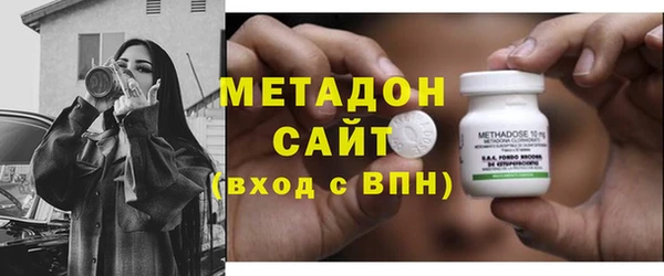 стаф Алзамай