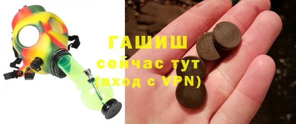 стаф Алзамай