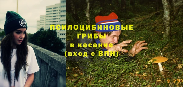 стаф Алзамай