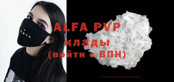 стаф Алзамай