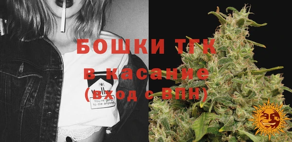 индика Алексеевка