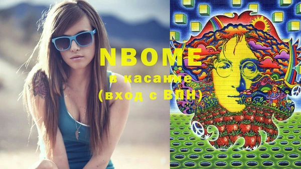 стаф Алзамай