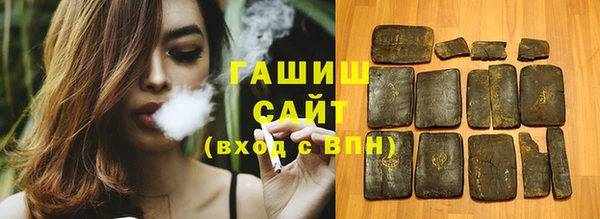 стаф Алзамай