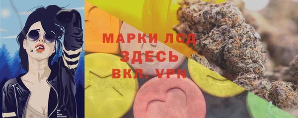 стаф Алзамай