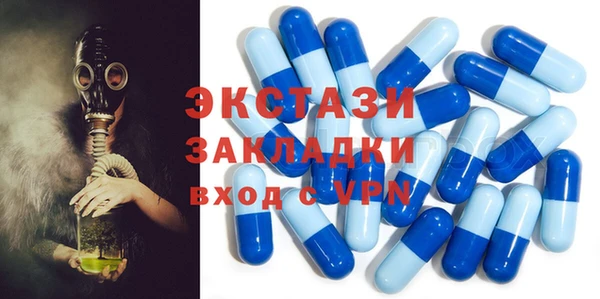 стаф Алзамай