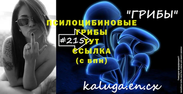 амфетамин Алексин